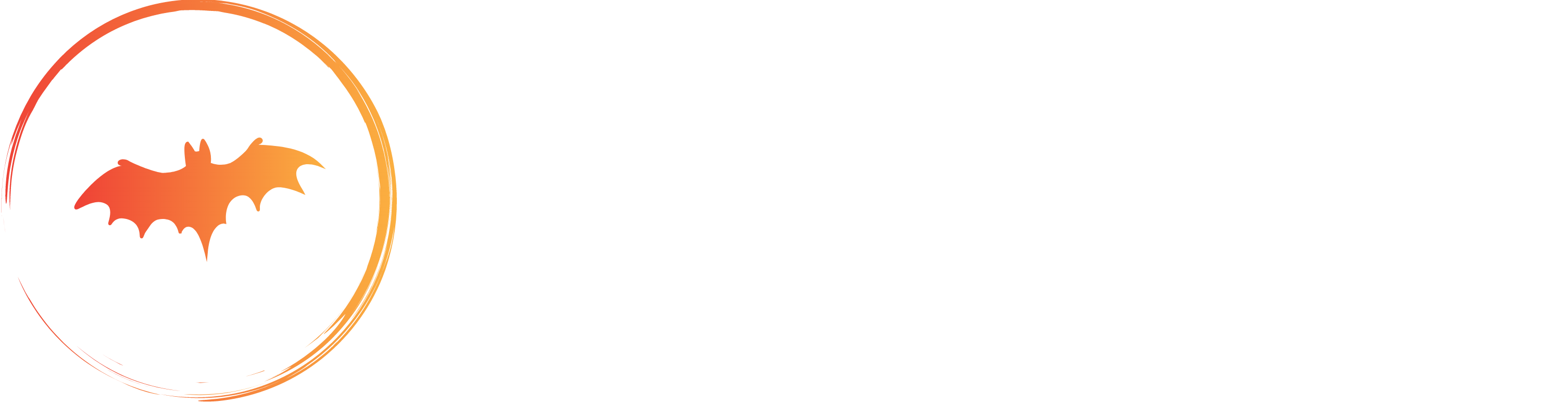 Shadowspotter